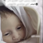 In Palestine, an infant girl dies due to the severe cold in mawasi