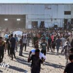 Gaza warehouse broken into by 'hordes of hungry people' says WFP
