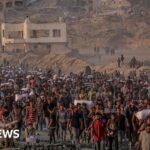 Israeli military investigates 'reports of harm to civilians' after hundreds killed near Gaza aid sites