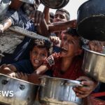 Famine 'currently playing out' in Gaza, UN-backed experts warn